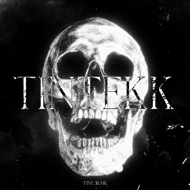 Обкладинка: TINTEKK — T'1nY