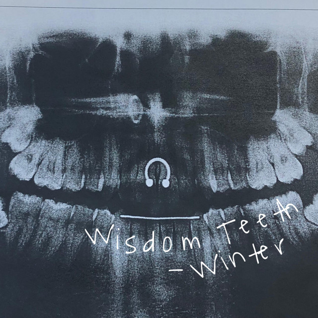 Wisdom Teeth cover art