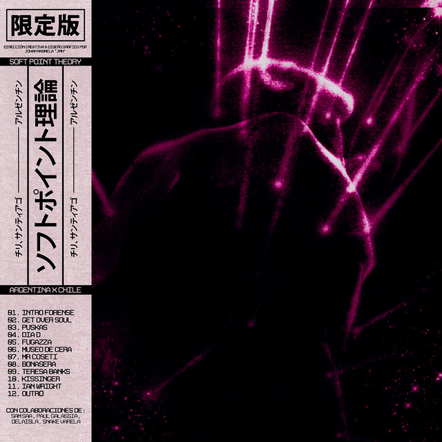 Soft Point Theory cover art