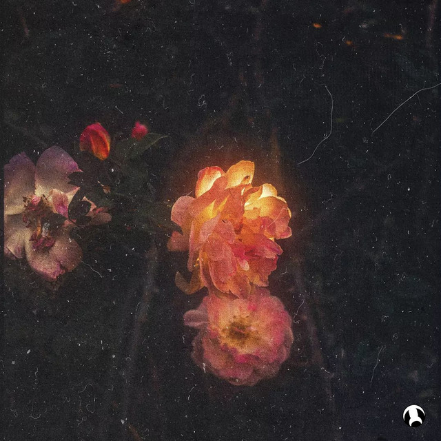 Nocturnes cover art