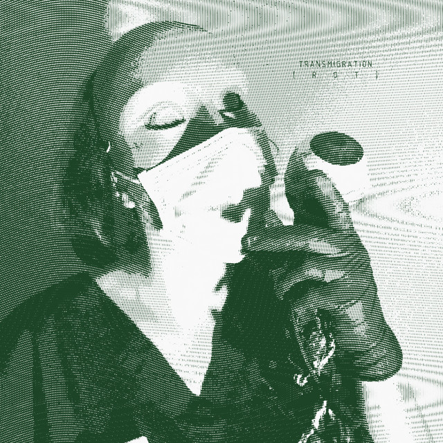 Rot cover art