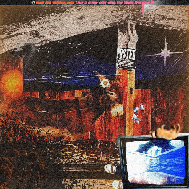 maze for testing rats (for i shine only with the light im given) cover art