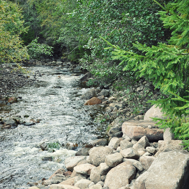 River Meditation: Relaxing Currents cover art