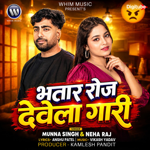 Bhatar Roj Devela Gaari album image