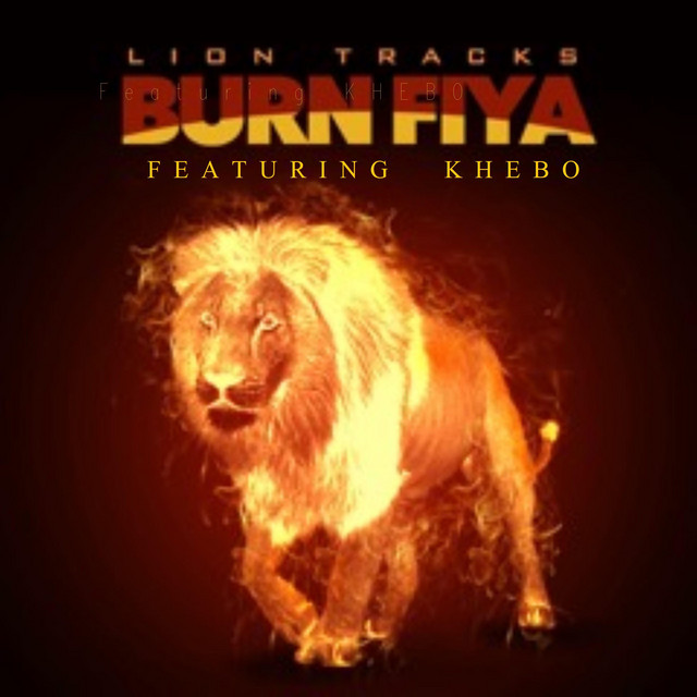 BURN FIYA cover art