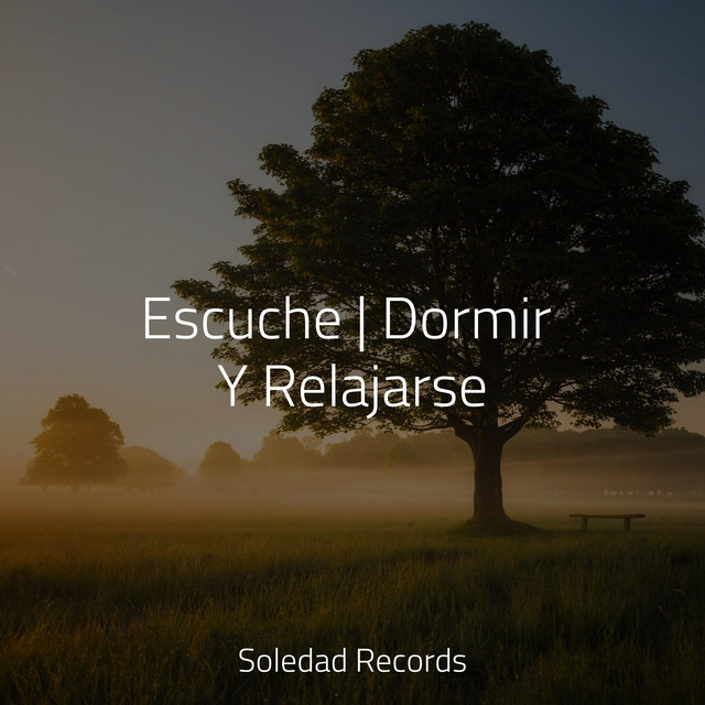 Escuche | Dormir Y Relajarse
