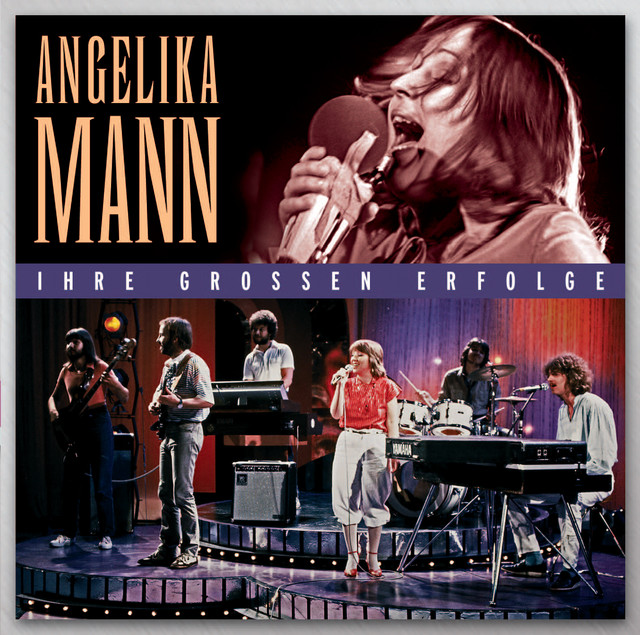 Die großen Erfolge cover art