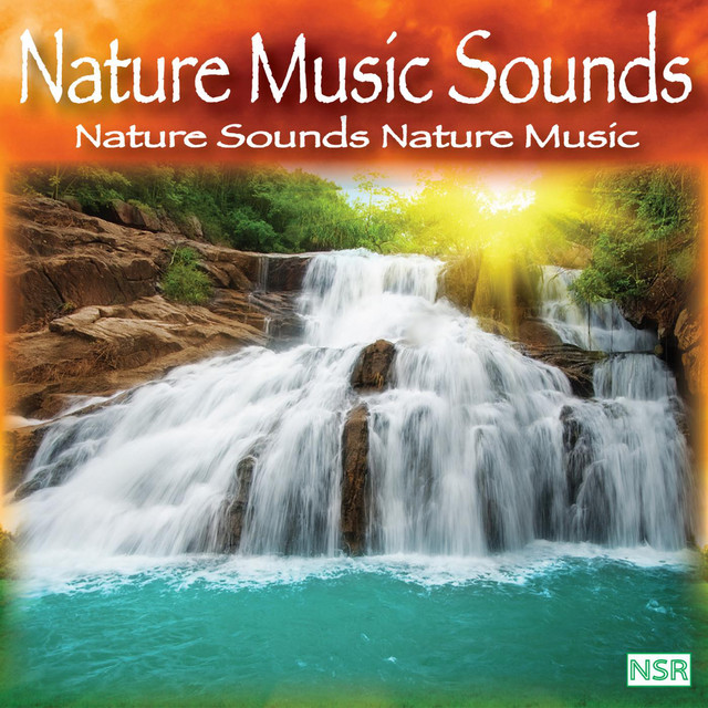 Nature Music Sounds