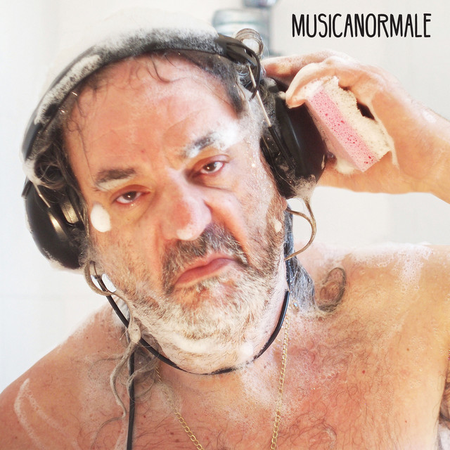 Musicanormale cover art