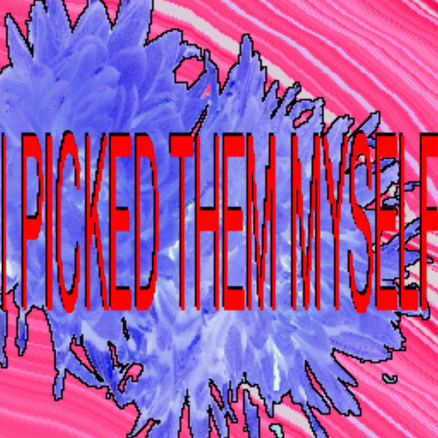 I PICKED THEM MYSELF cover art