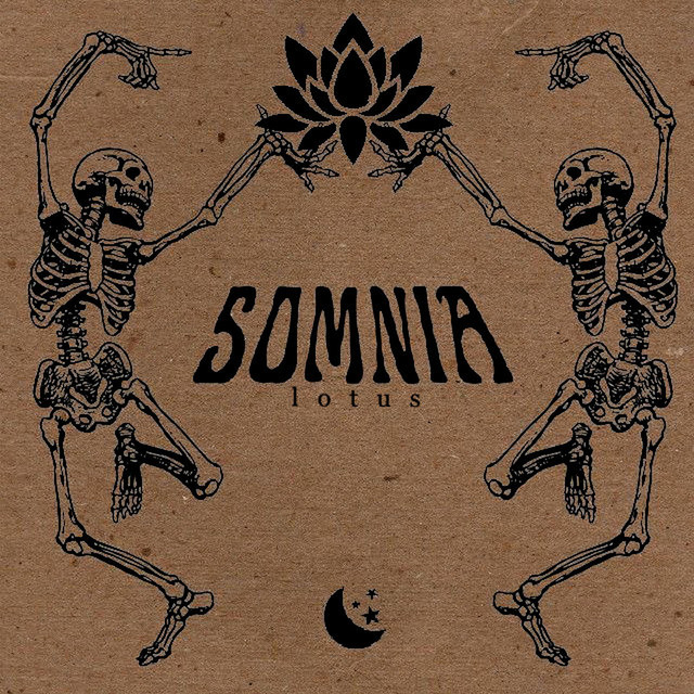 Lotus cover art