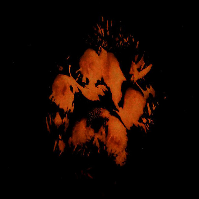 WALKIN ON FIRE cover art
