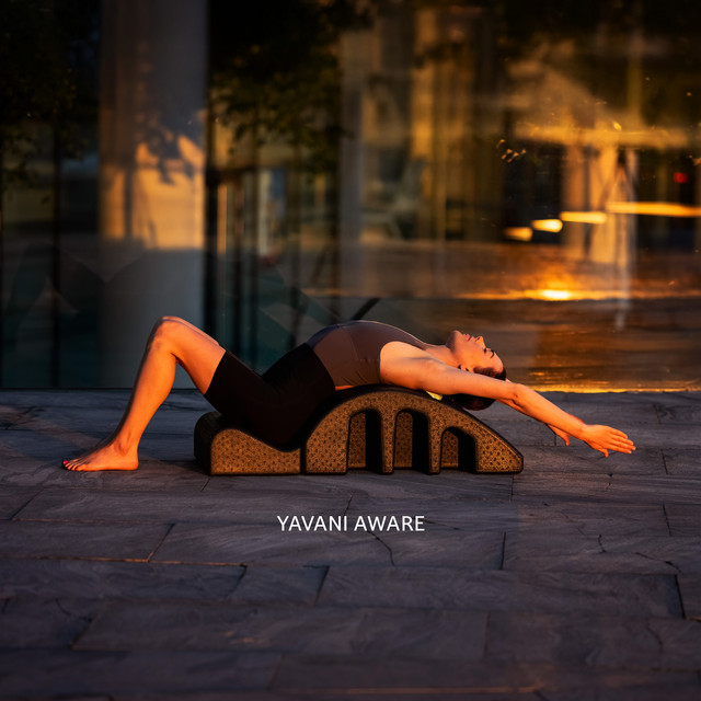 Reflections After the Fall cover art