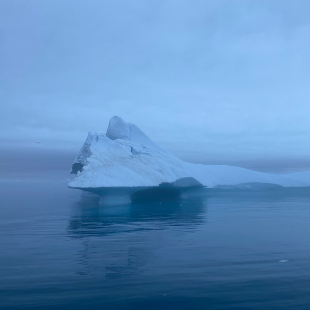 ilulissat (single)