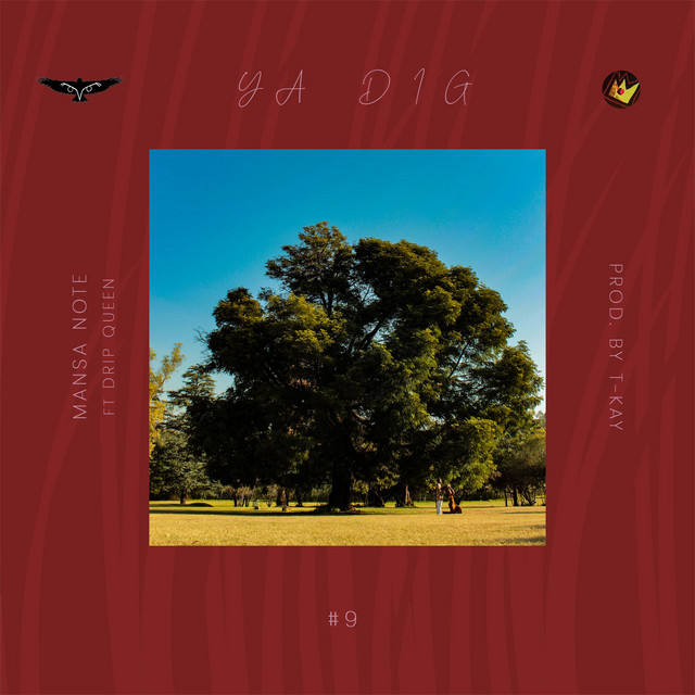 Ya Dig cover art