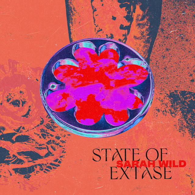 Drum Extase album art