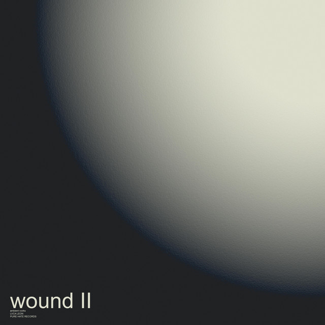 WOUND02 cover