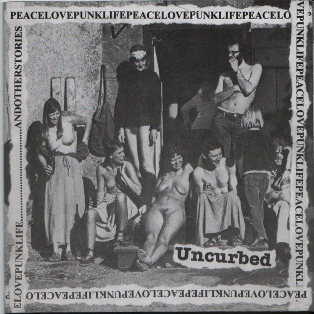 Peacelovepunklife....And Other Stories cover art