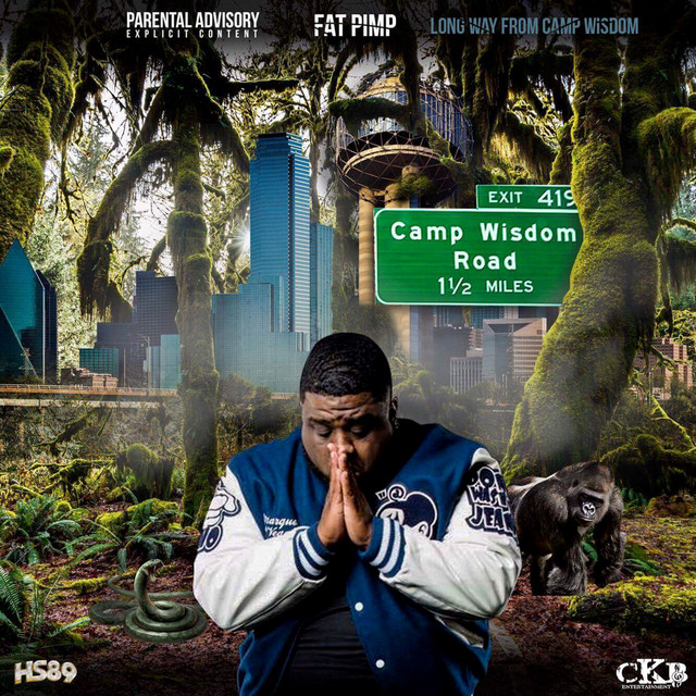 Long Way From Camp Wisdom cover art