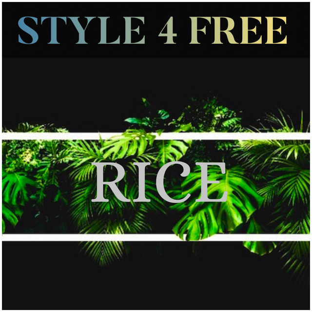 Style 4 Free - Single by RICE / DJ Bucket | Spotify