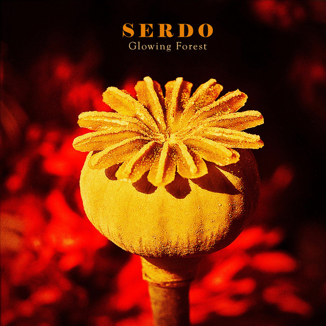 Serdo
