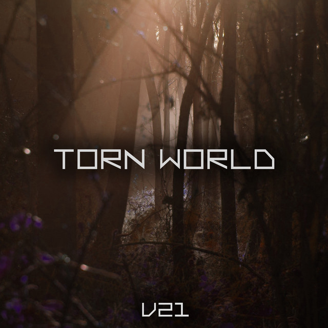Torn World cover art
