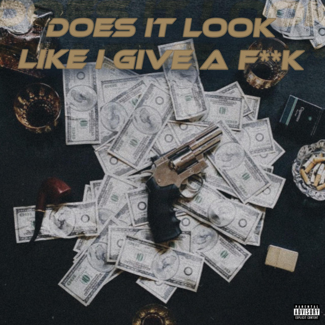 DOES IT LOOK LIKE I GIVE A F**K cover art
