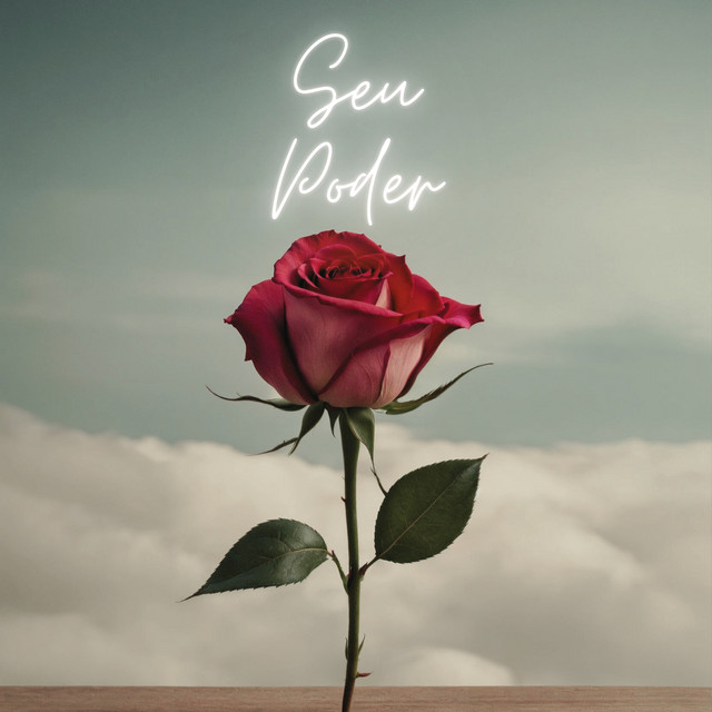 Seu Poder cover art