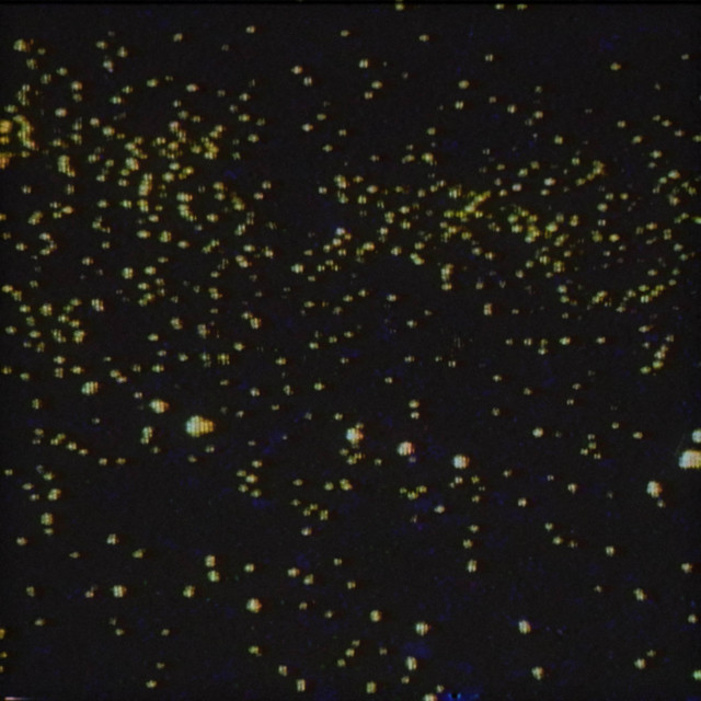Обкладинка: firefly — wavetearz