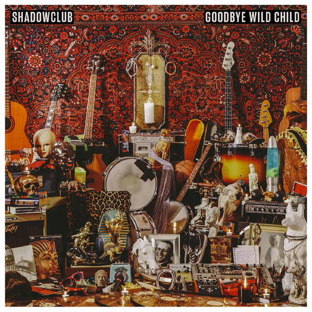 Goodbye Wild Child cover