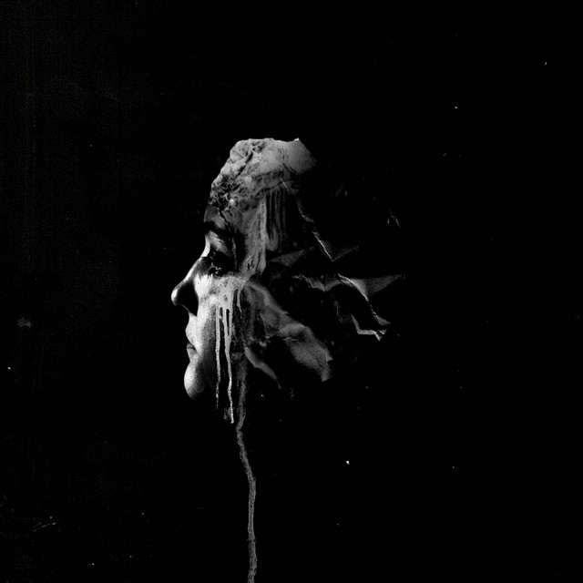 The Light cover art