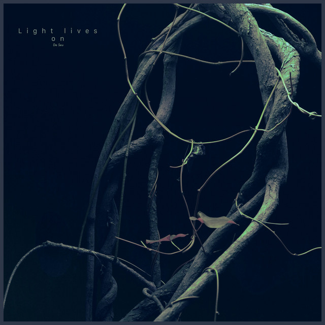 Light lives on cover art