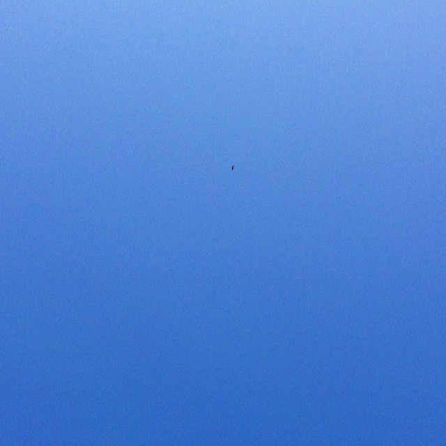 Blu Skies