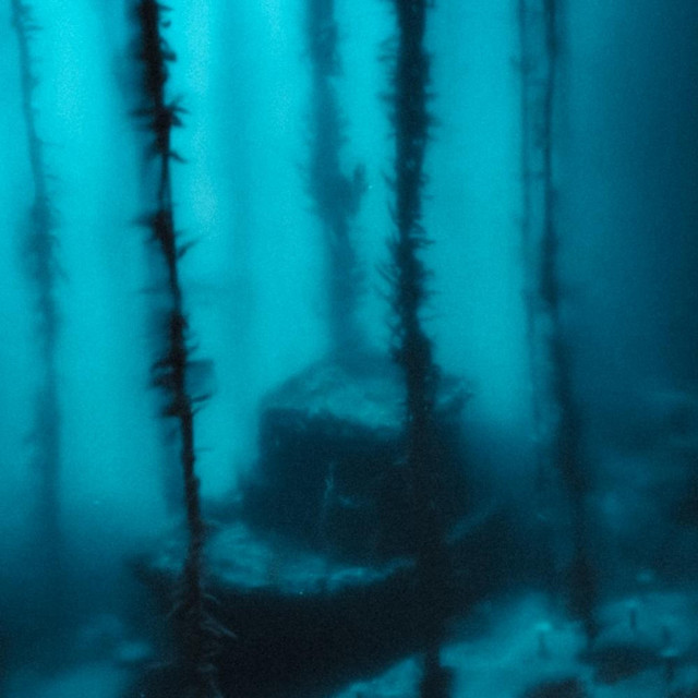 shipwrecks and mistakes cover art