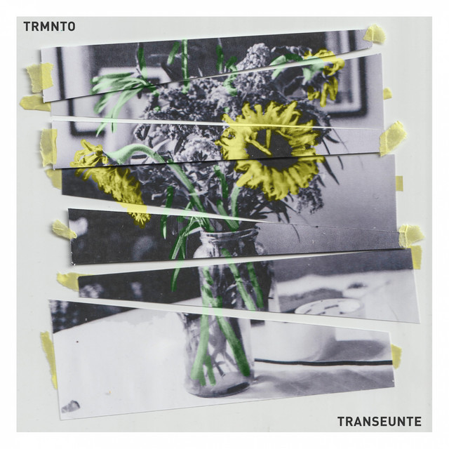 Transeúnte cover art