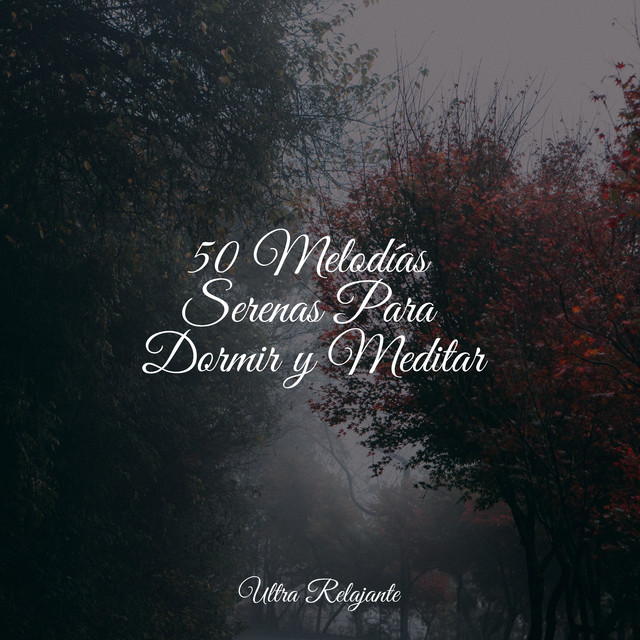 50 Melodías Serenas Para Dormir y Meditar - Album by Academia de Música ...