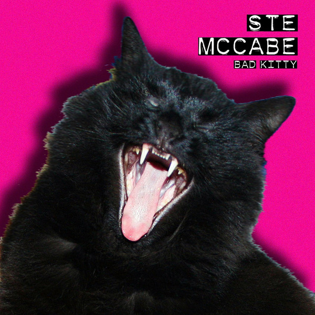 Bad Kitty cover art
