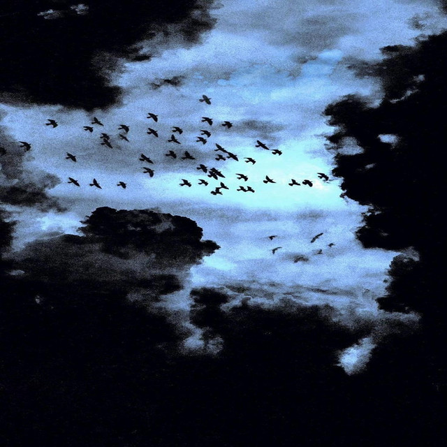 Se Meg Fly (RÅTTWEILER)