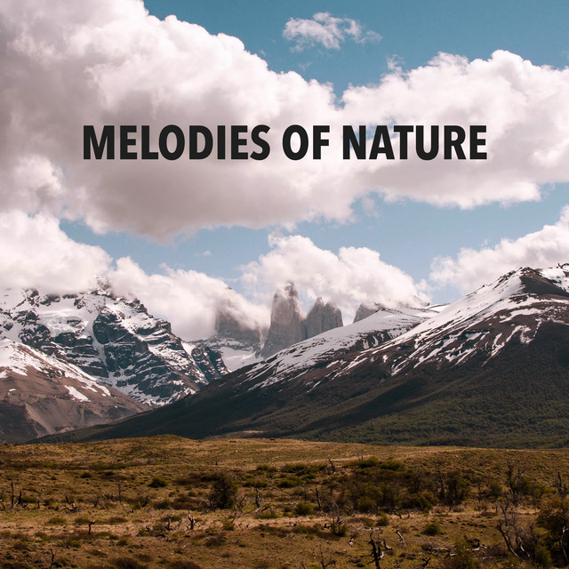 Melodies of Nature - Album by Relaxing Music Therapy | Spotify