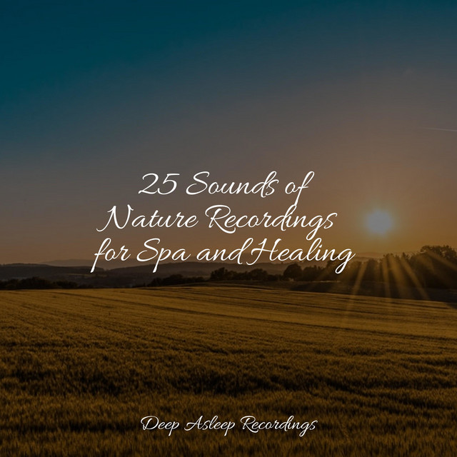 25 Sounds of Nature Recordings for Spa and Healing - Album by Sleeping ...