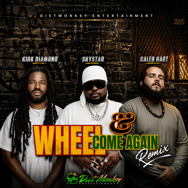 Wheel & Come Again (remix)
