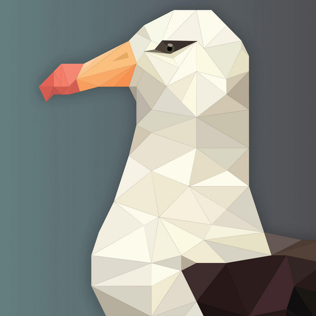 Albatross cover art