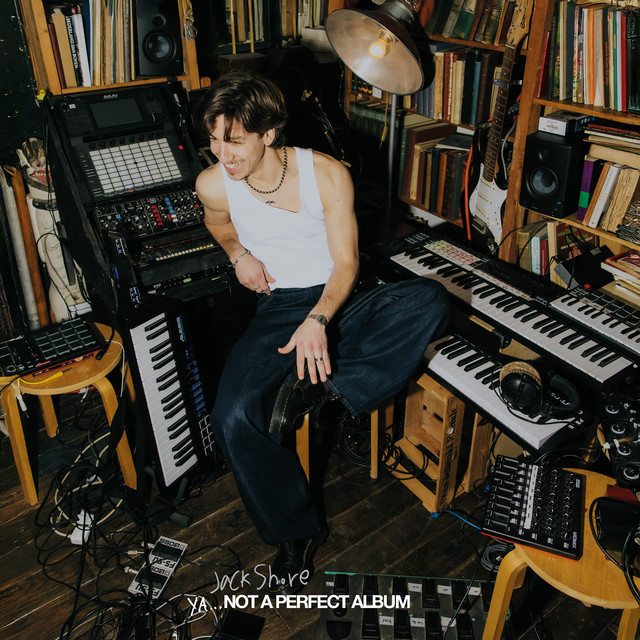 YA... NOT A PERFECT ALBUM cover art