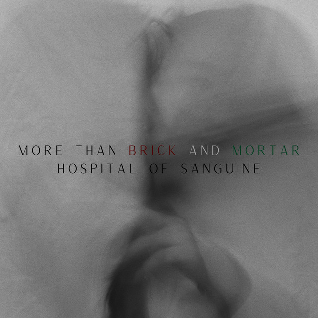 More Than Brick And Mortar (single)
