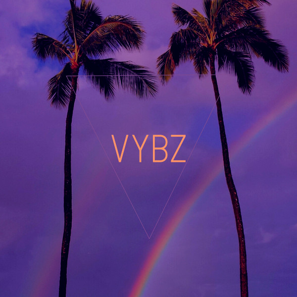 Vybz cover art