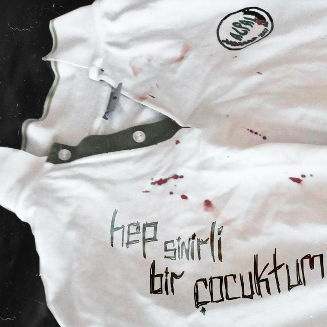 hep sinirli bir çocuktum cover art