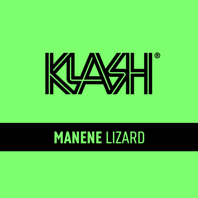 Lizard cover art