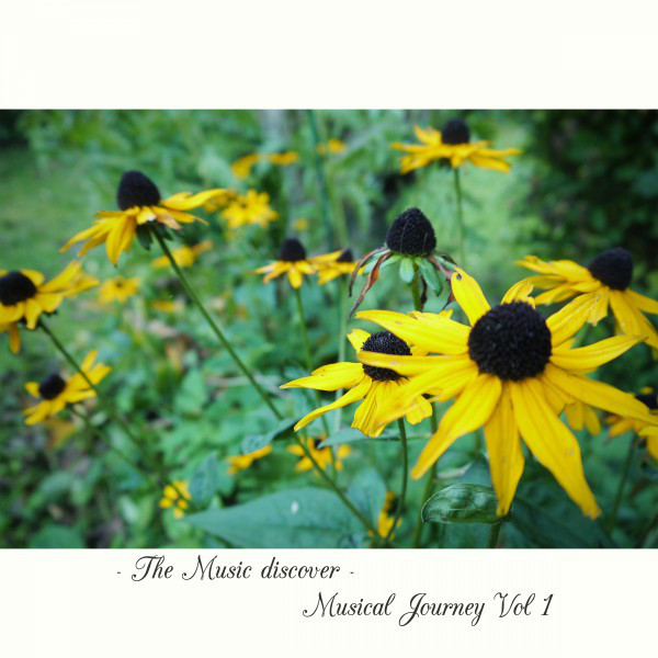 Musical Journey Vol. 1 (Volume 1) - Compilation by Various Artists