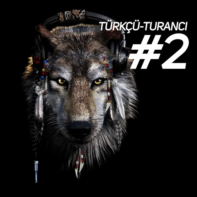 Türkçü-Turancı #2 cover art