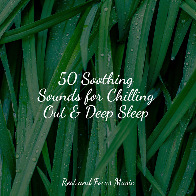50 Soothing Sounds for Chilling Out & Deep Sleep - Album by Kings of ...
